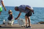 Salou ofereix serveis a visitants que viatgen amb les seves mascotes