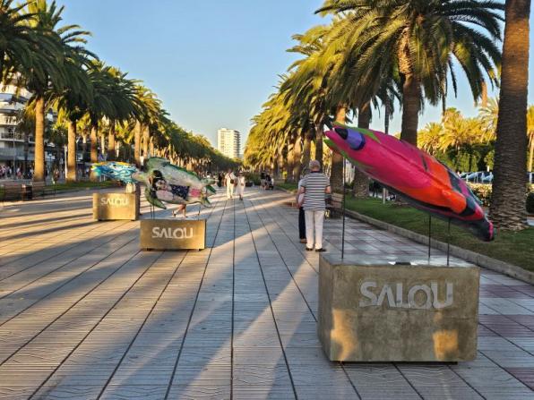 Exposoció de tortugues llaüt en Salou